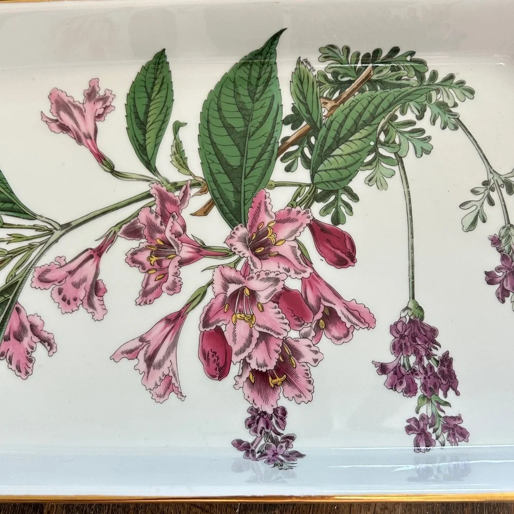Vintage Spode 